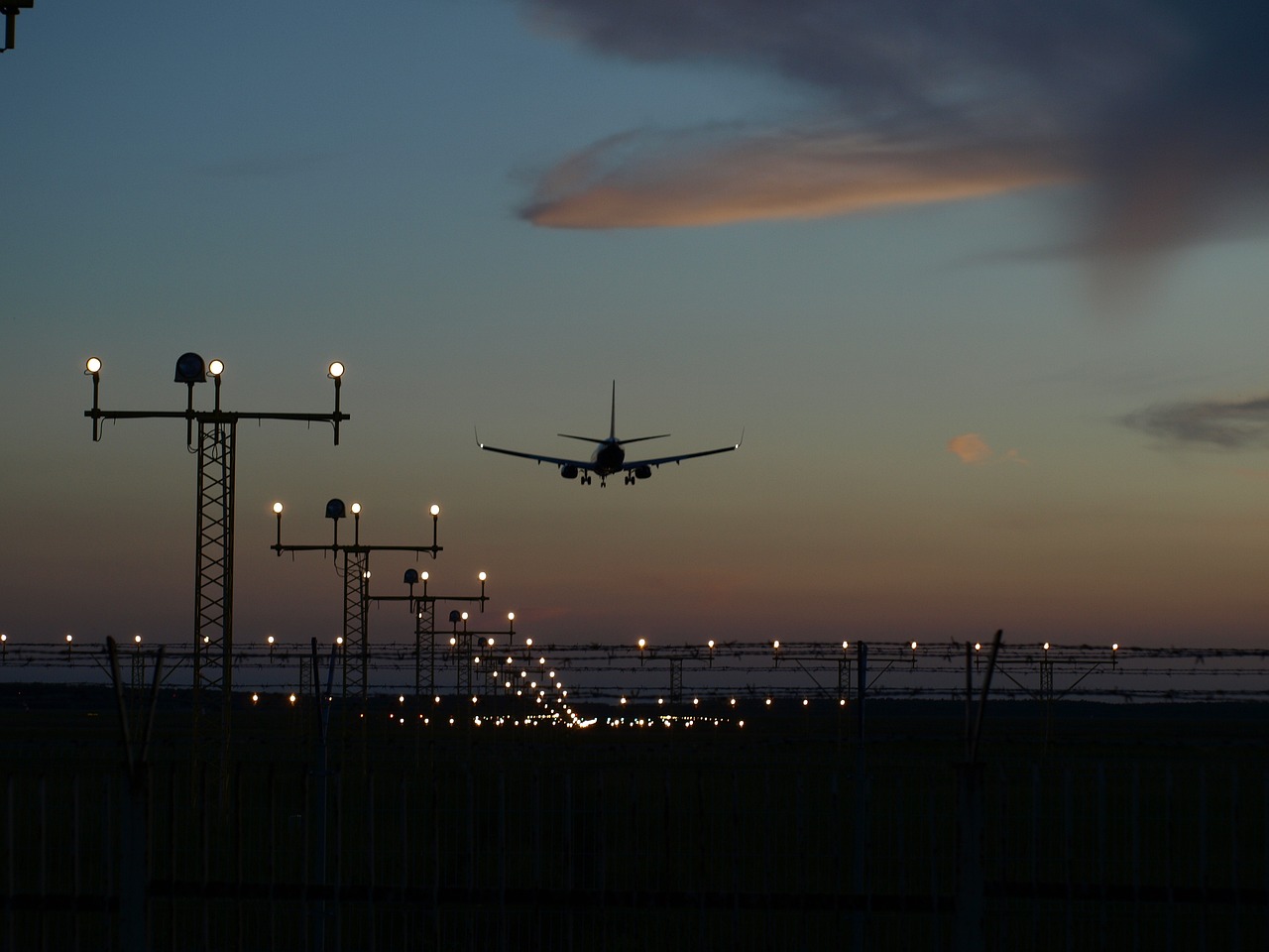 Tips for Navigating Airports with Pets